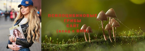гашик Армянск