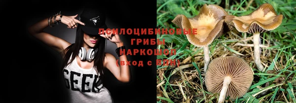 гашик Баксан