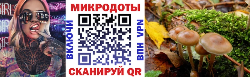 Галлюциногенные грибы GOLDEN TEACHER  Лермонтов 